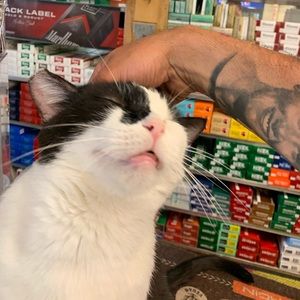 Meet your Posher, Kevin